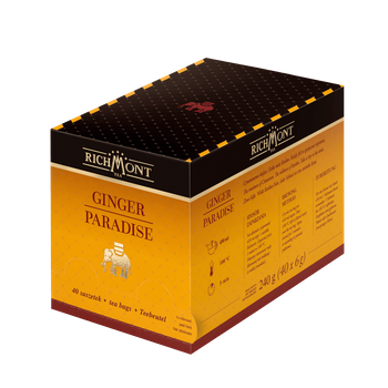 Owocowo-Ziołowa Herbata Richmont Ginger Paradise 40x6g